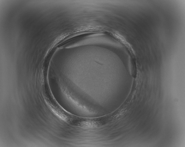 X0000080660250200612151138