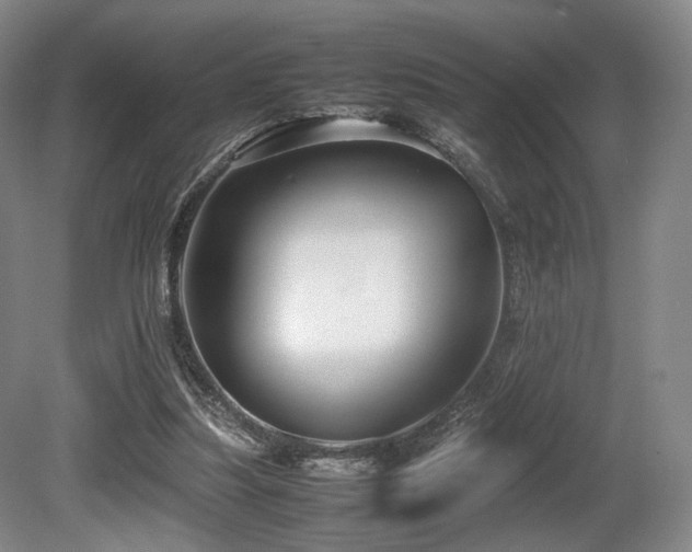 X0000080660251200612151138