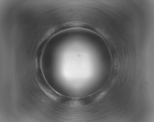 X0000080660254200612151138