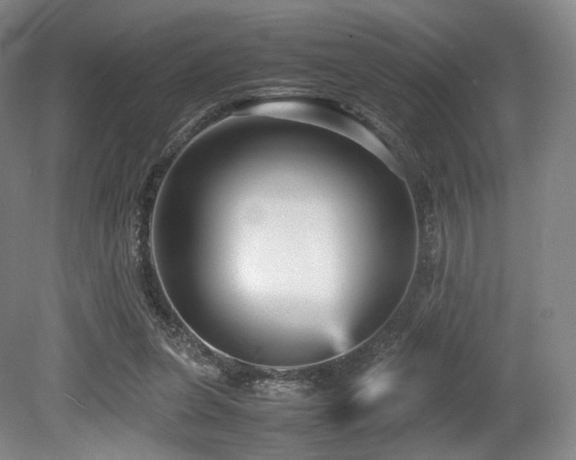 X0000080660255200612151138