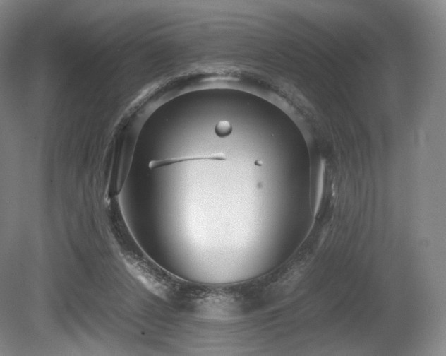 X0000080660256200612151138