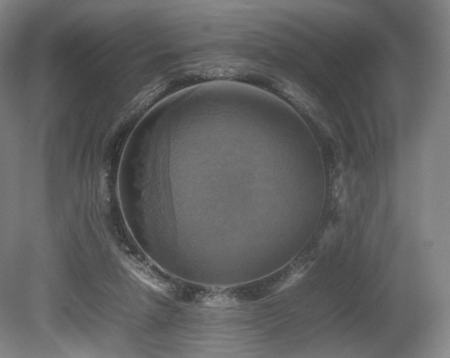 X0000080660258200612151138