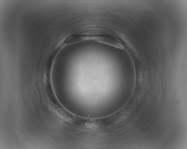 X0000080660259200612151138