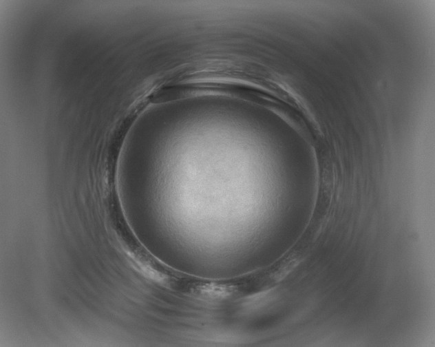 X0000080660261200612151138