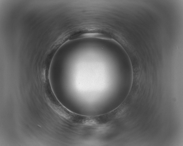 X0000080660262200612151138