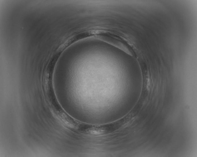 X0000080660263200612151138