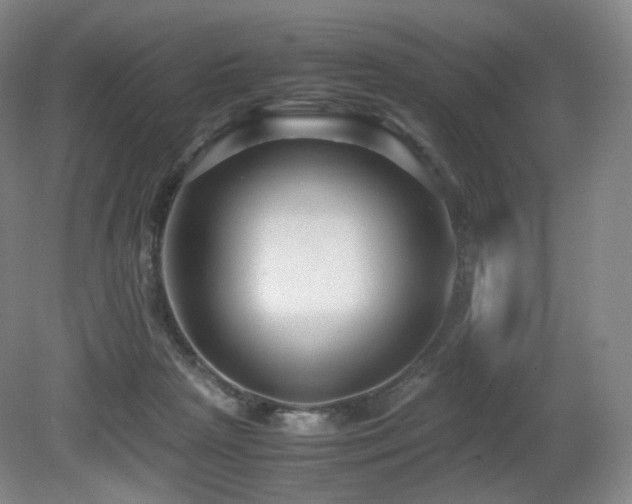 X0000080660265200612151139