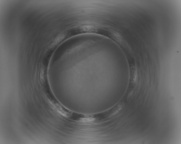 X0000080660266200612151139