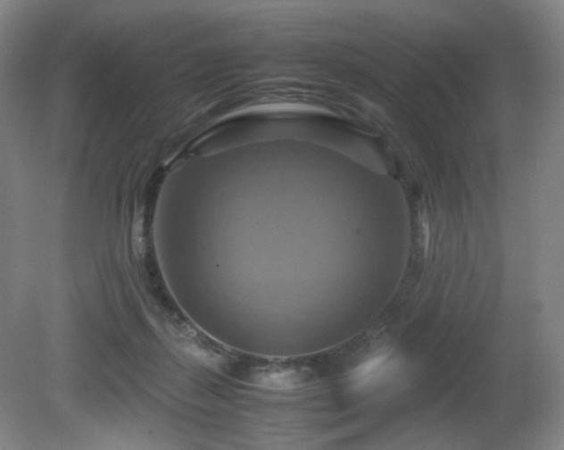 X0000080660267200612151139