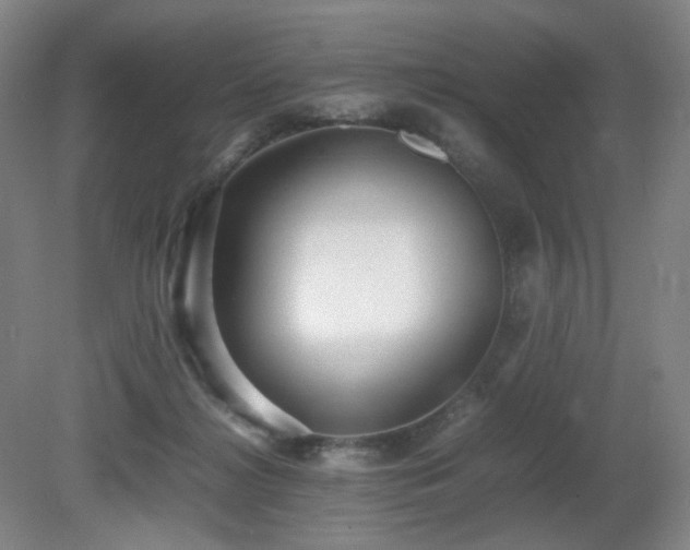 X0000080660268200612151139