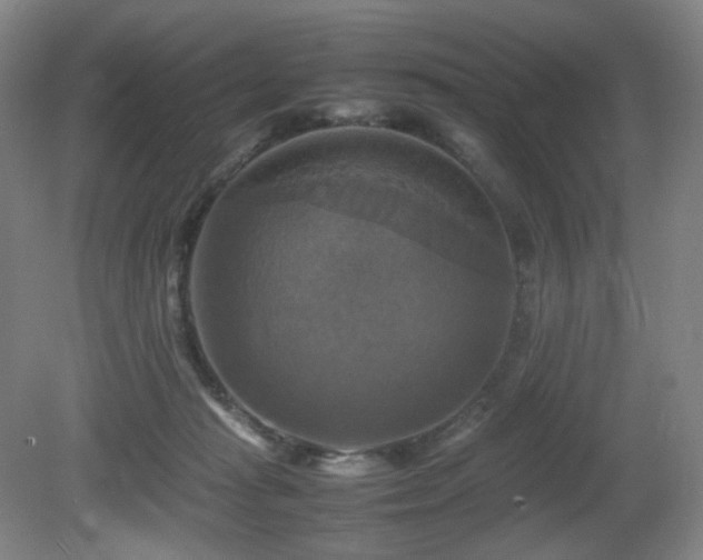 X0000080660269200612151139