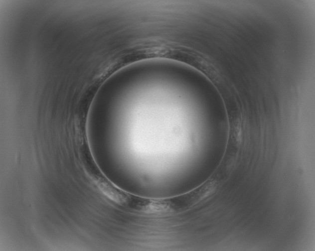 X0000080660270200612151139