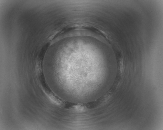 X0000080660272200612151139