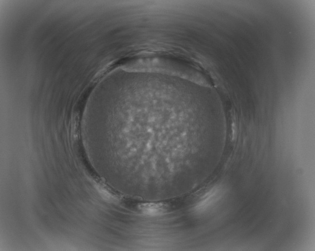 X0000080660273200612151139