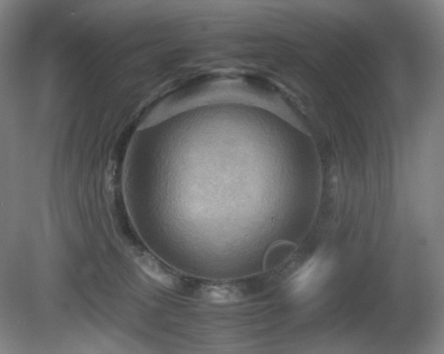 X0000080660275200612151139