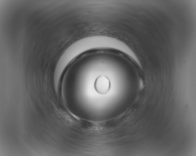 X0000080660276200612151139