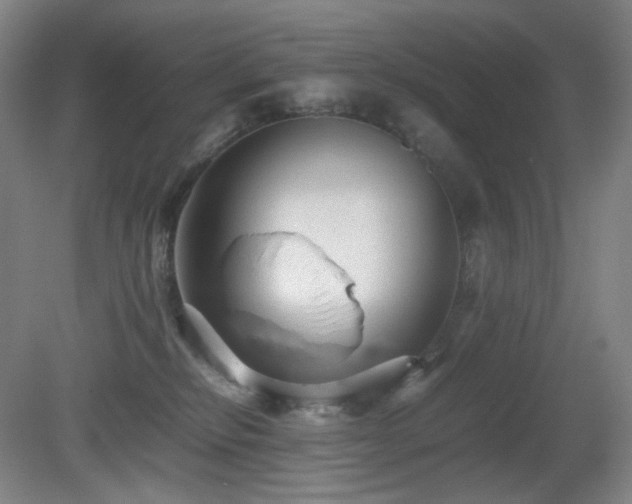 X0000080660278200612151139