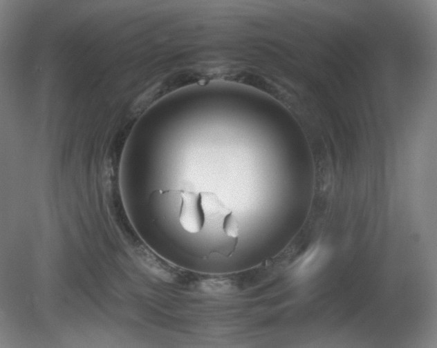 X0000080660279200612151139