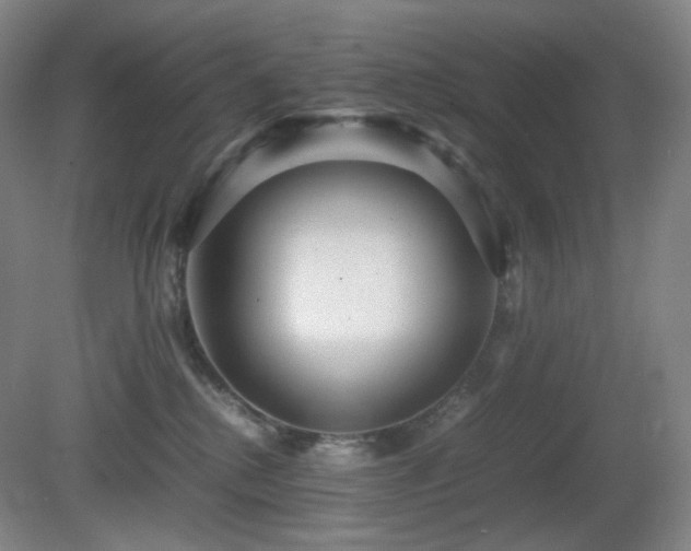 X0000080660280200612151139