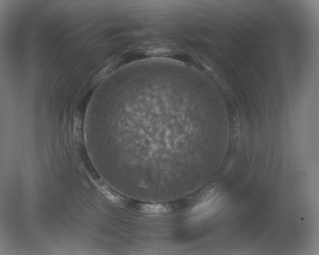 X0000080660281200612151139