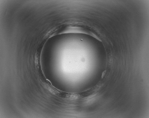 X0000080660282200612151139