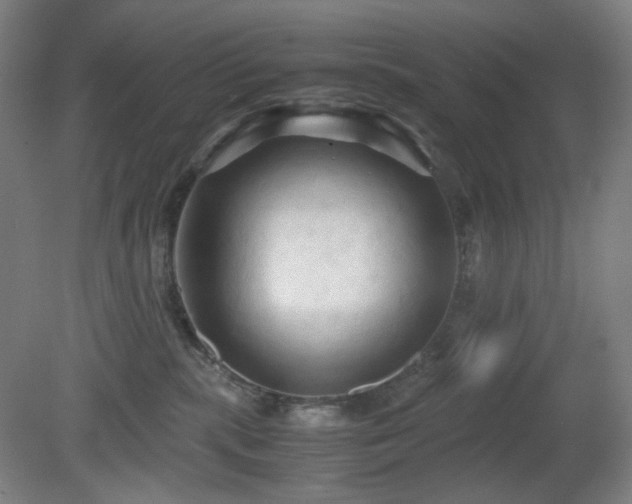 X0000080660283200612151139
