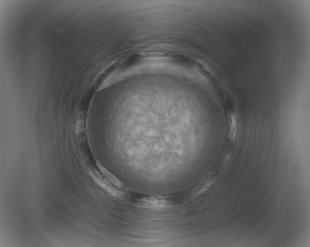 X0000080660284200612151139