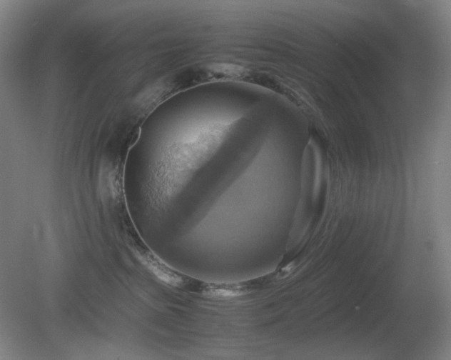 X0000080660285200612151139