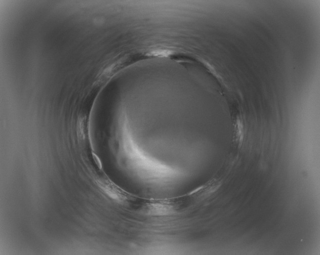 X0000080660286200612151139