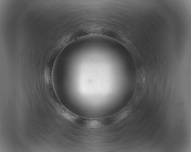 X0000080660287200612151139