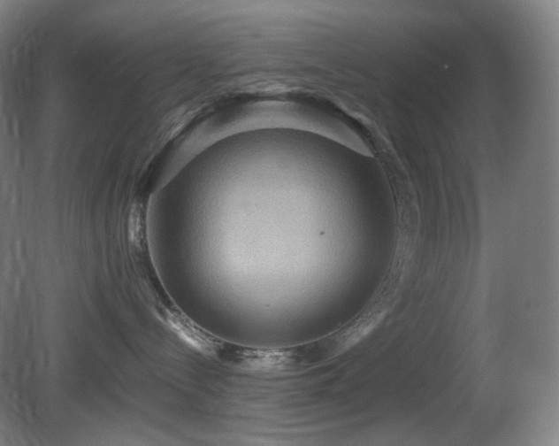X0000080660288200612151139