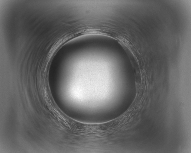 X0000080660289200612151138