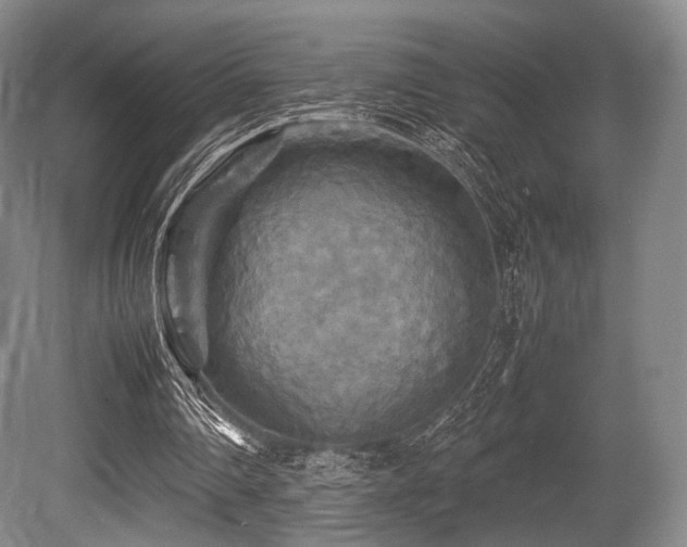X0000080660290200612151138