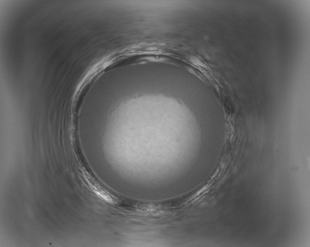 X0000080660293200612151138