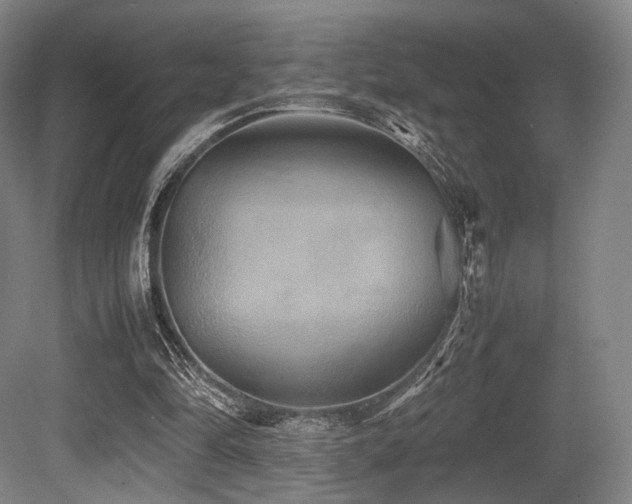X0000080660294200612151138