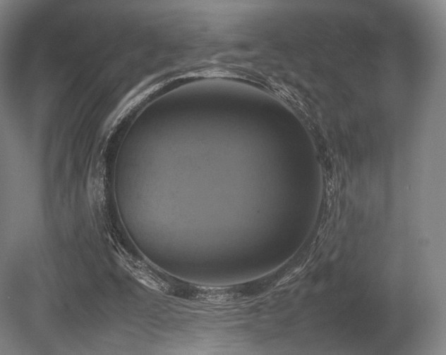X0000080660295200612151138