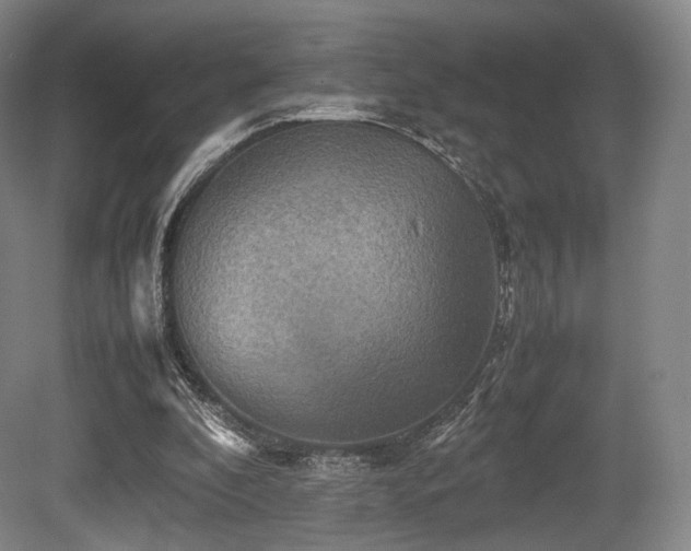 X0000080660296200612151138
