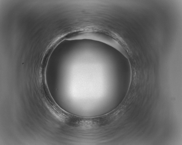 X0000080660298200612151138
