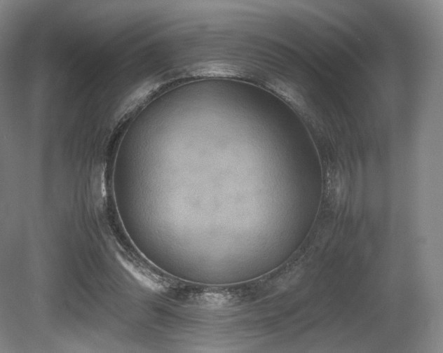 X0000080660302200612151138