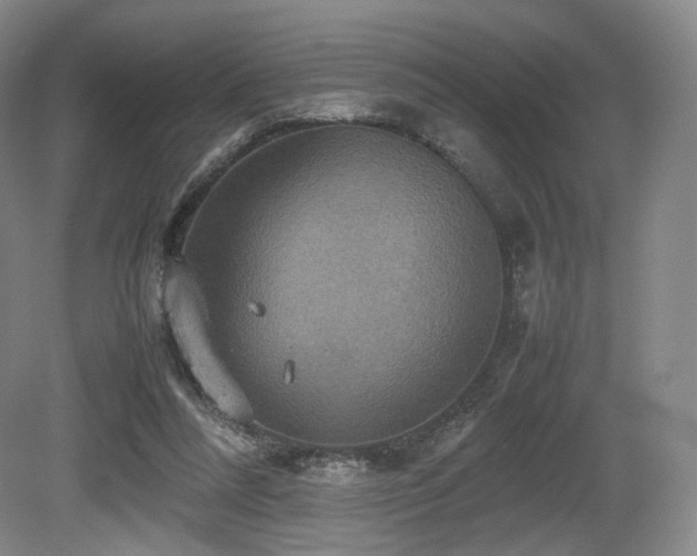 X0000080660304200612151138