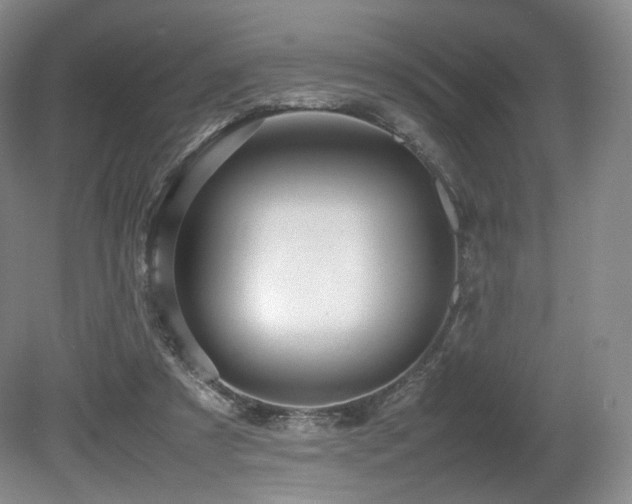 X0000080660305200612151138