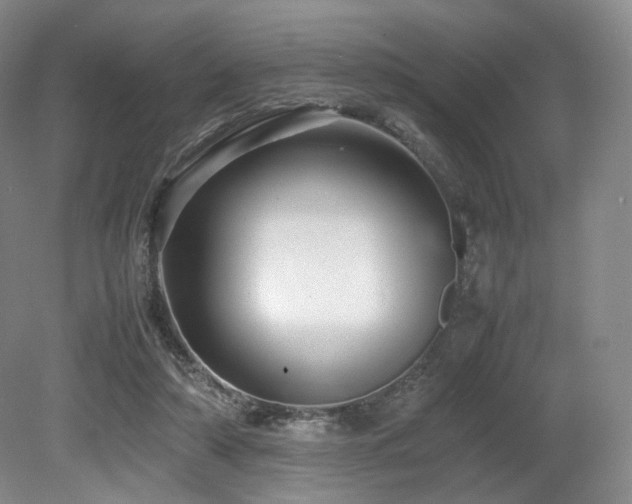 X0000080660306200612151138