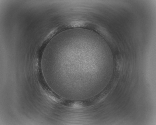 X0000080660308200612151138