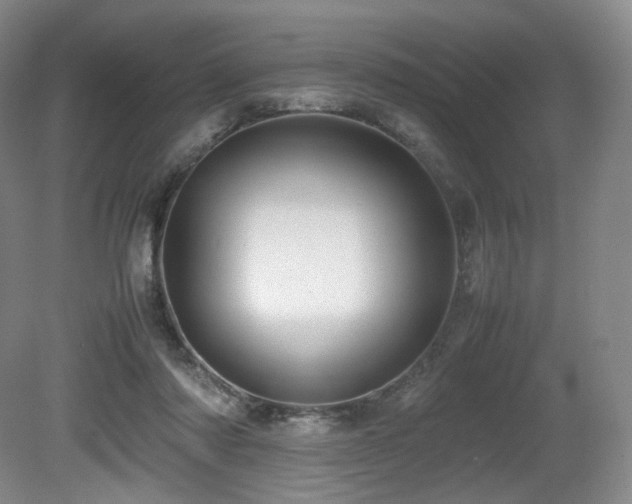 X0000080660310200612151138
