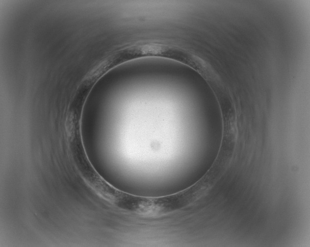 X0000080660311200612151138
