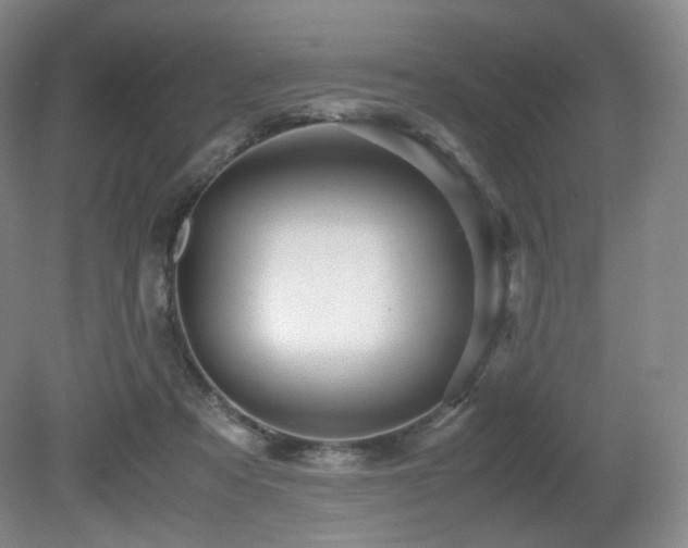 X0000080660313200612151138