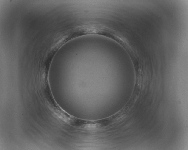 X0000080660314200612151138
