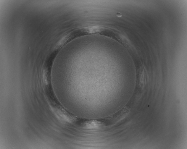 X0000080660316200612151138