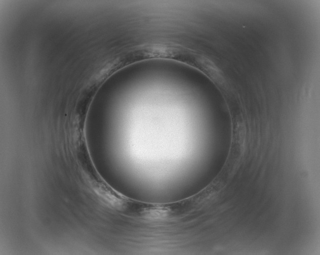 X0000080660318200612151138