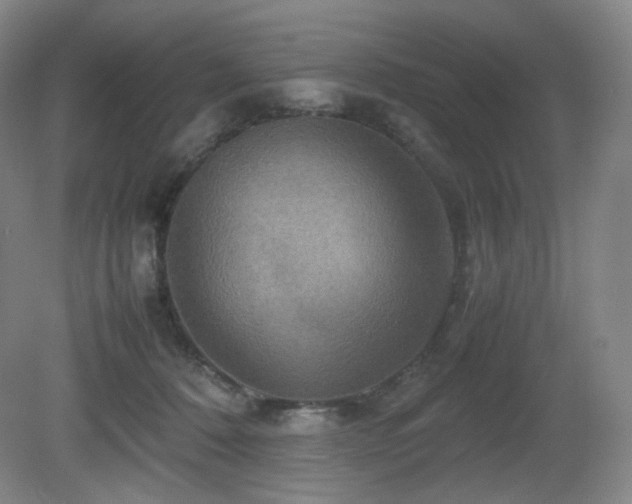 X0000080660320200612151138